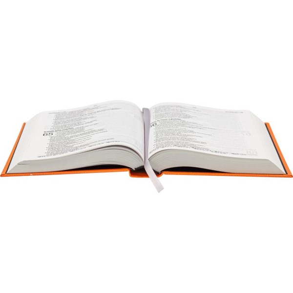 Biblia Letra Grande Capa Dura Leao Vazado Laranja NAA