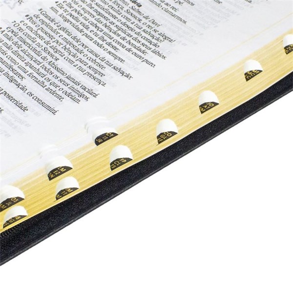 Biblia Slim Letra Grande Com Indice e Ziper Preta NA