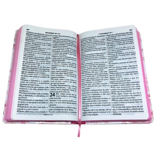 Biblia Sagrada Letra Gigante Com Harpa Cristã Ramo Prata