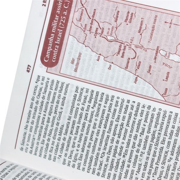 Bíblia Plenitude Para Jovens Capa Sintética Cinza Escuro