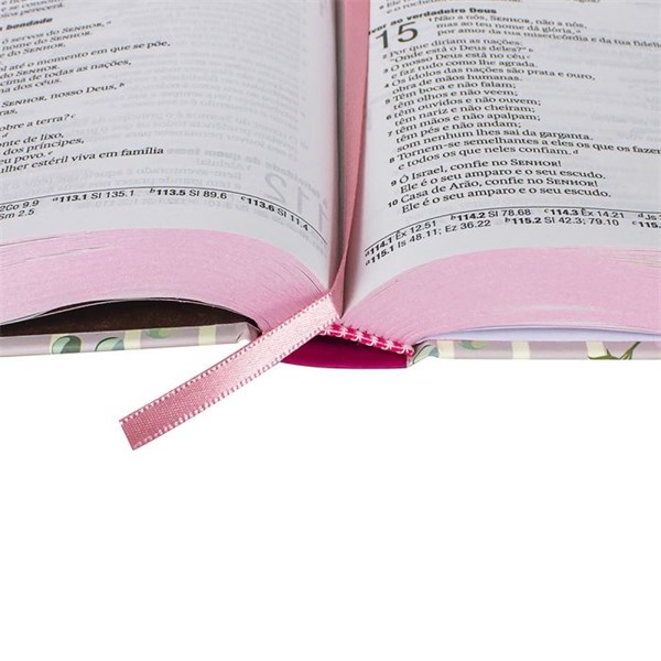 Biblia Capa Dura Presente Letra Grande NAA