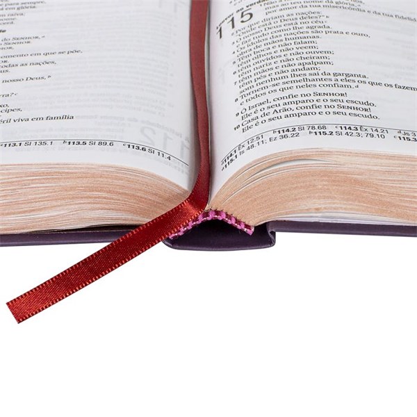 Biblia Capa Dura Rosas Letra Grande NAA