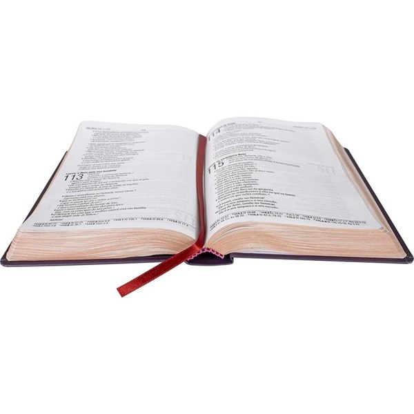 Biblia Capa Dura Rosas Letra Grande NAA