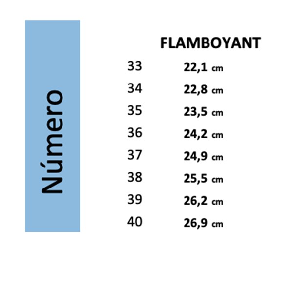Botina em Couro - JUÍZA - Flother Whisky - Flamboyant