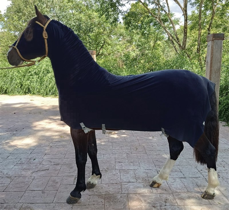 Capa Legging em Suplex - Adulto - Azul Jeans