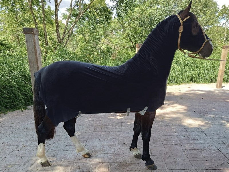 Capa Legging em Suplex - Potro - Verde Militar