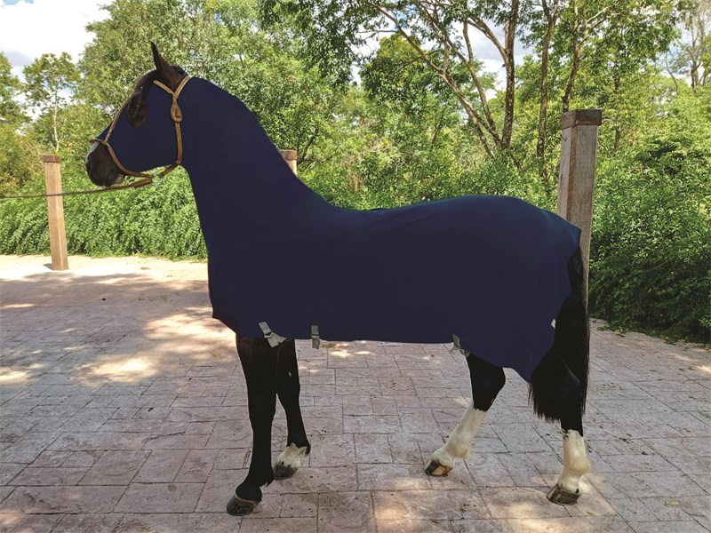 Capa Legging em Suplex - Adulto - Azul Marinho