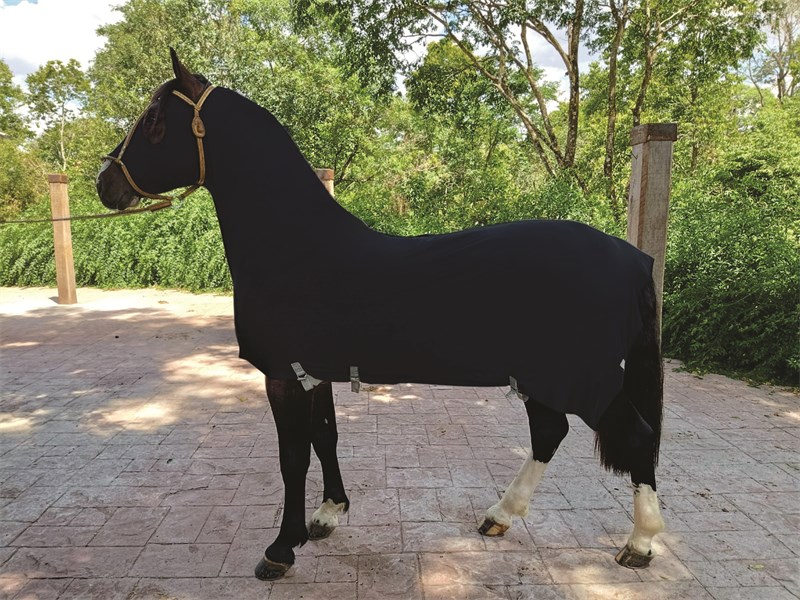 Capa Legging em Suplex - Potro - Preto