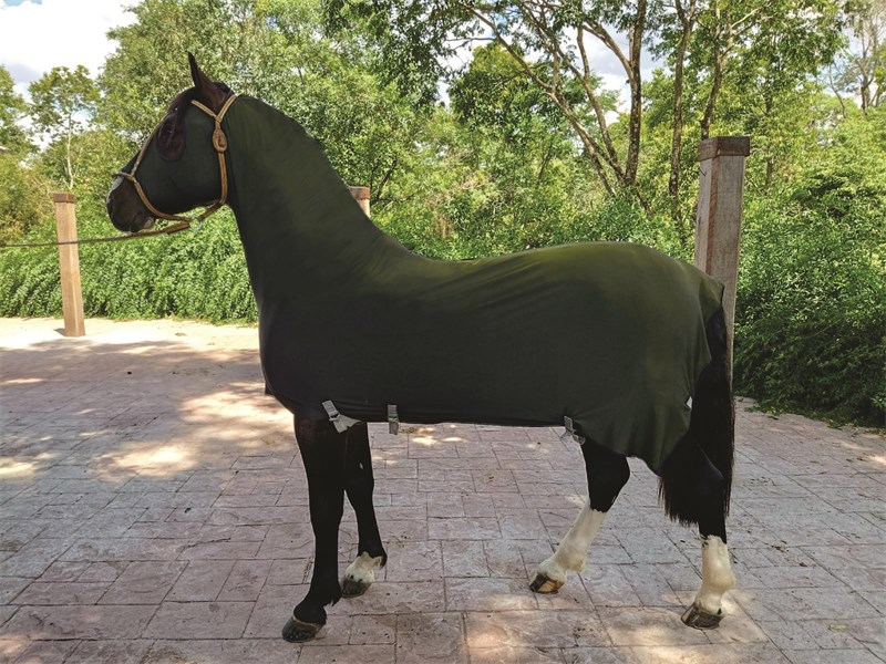 Capa Legging em Suplex - Adulto - Verde Militar