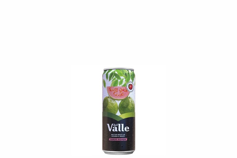 SUCO DEL VALLE GOIABA
