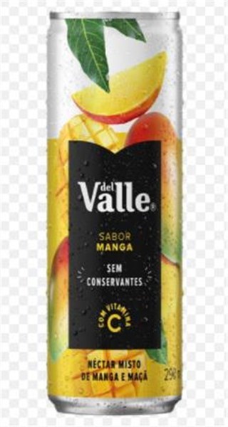 SUCO DEL VALLE MANGA