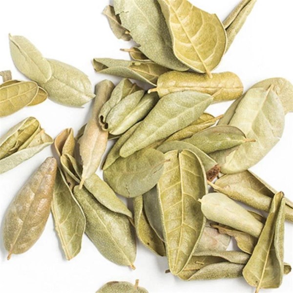 Boldo ( Folha )  -  100g
