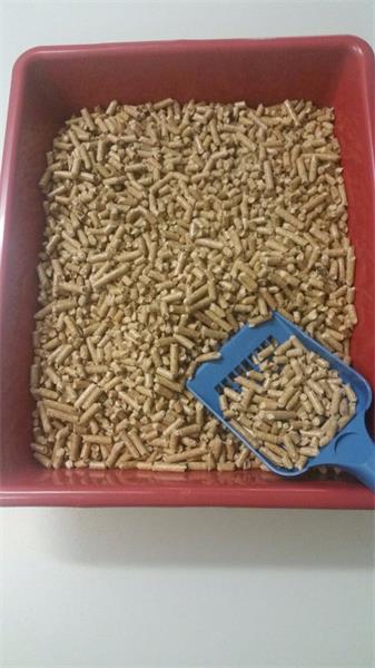 GRANULADO HIGIÊNICO DE MADEIRA 5X4KG