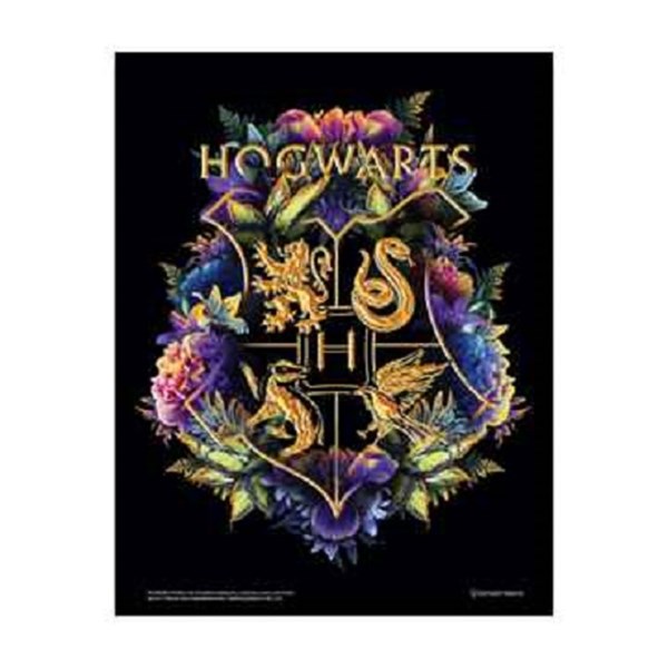 Quadro Metal Slim - Hogwarts Floral