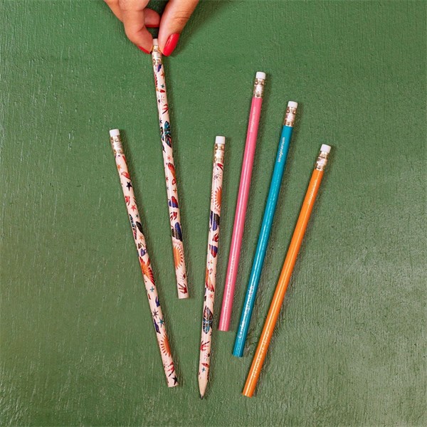 Conjunto de Lapis Tudo Pode Florescer