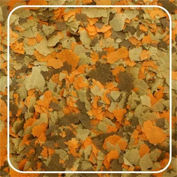 Ração para Peixes Colours Alcon 20 g