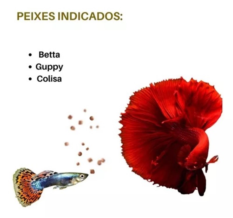 Ração para Peixe Betta Poytara 14g