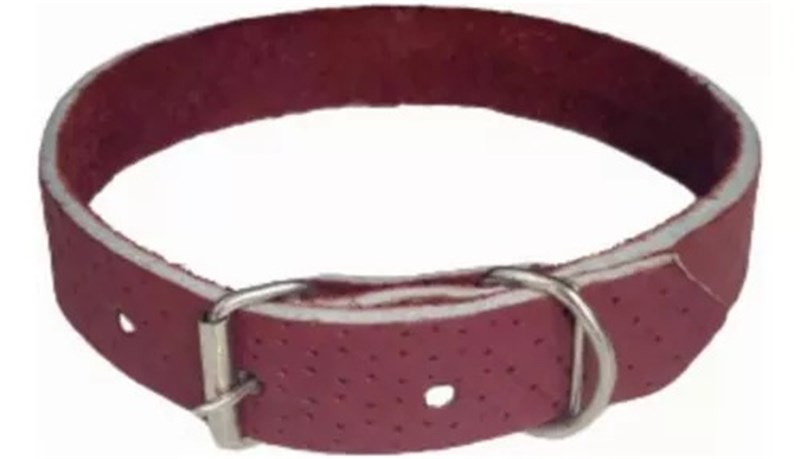 Coleira Couro de Búfalo Gorski nº 03