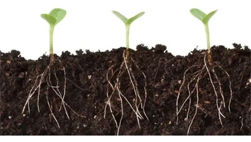 Fertilizante Liquido 04-14-08 Mineral Misto Floresmuda 100ml