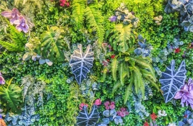 Fertilizante Liquido 04-14-08 Mineral Misto Floresmuda 100ml