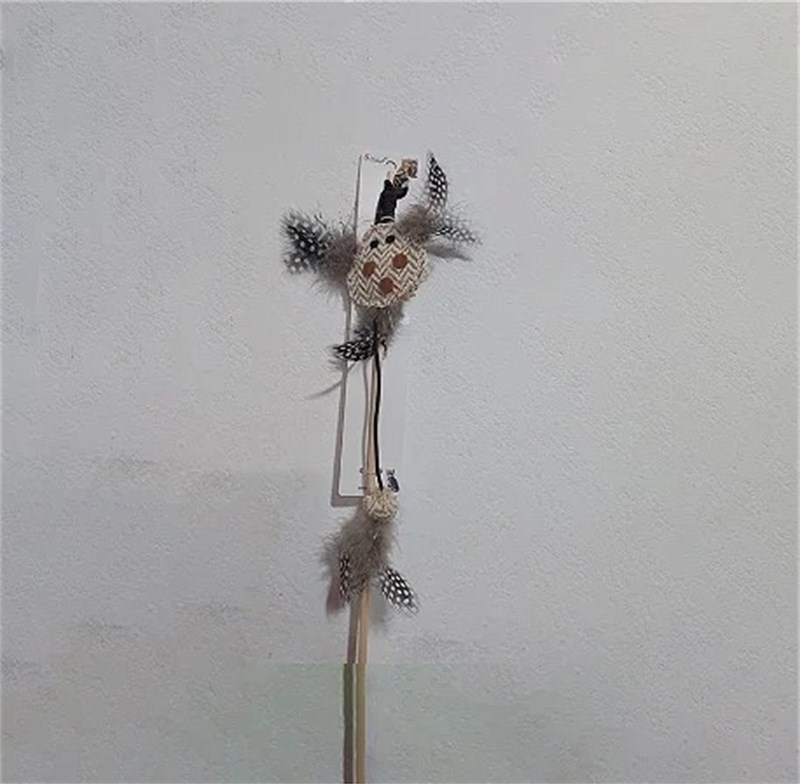 Varinha Brinquedo para Gato com