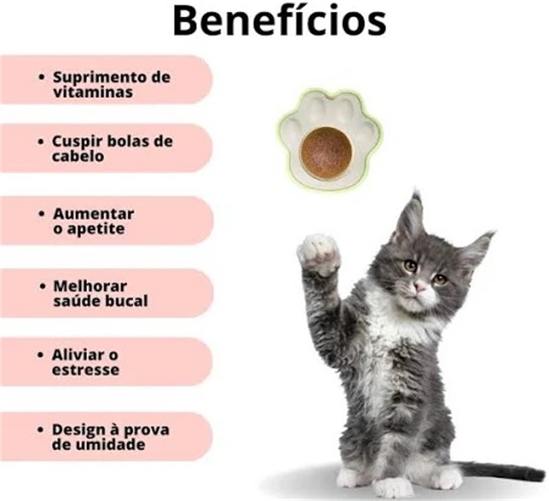 Brinquedo Patinha com Catnip Erva de Gato Natural