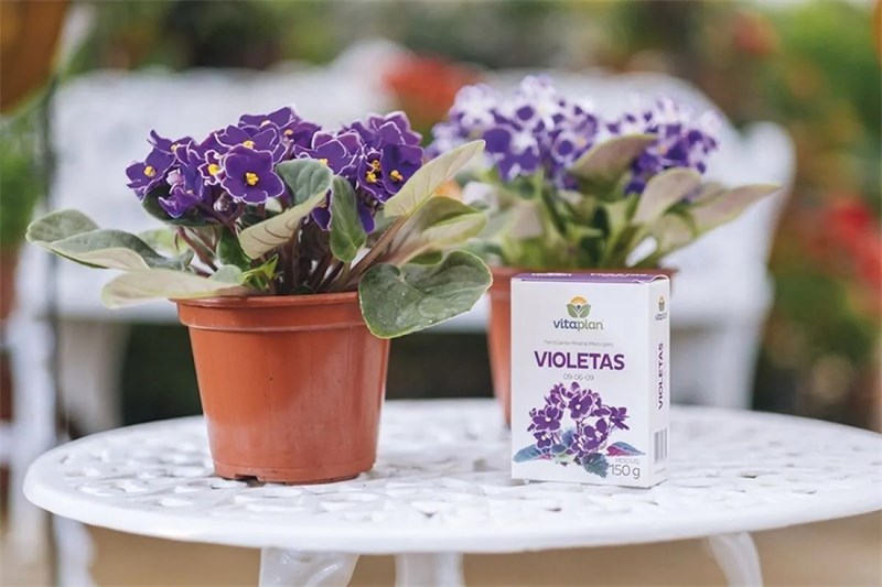 Fertilizante Violetas 09-06-09 150g Vitaplan