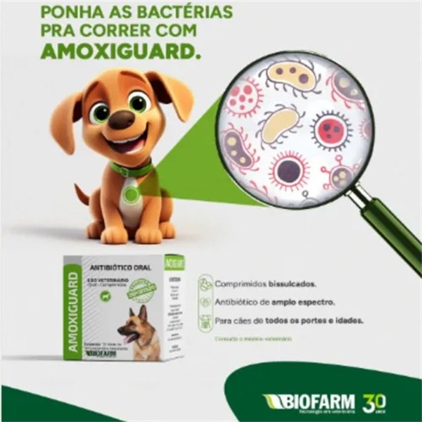 Amoxiguard Antibiótico para Cães em Blister 720mg com 10 Comprimidos