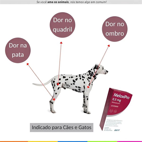 Meloxipro 0,5mg Anti-inflamatório Analgésico para Cães Gatos Meloxicam