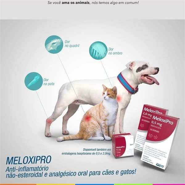 Meloxipro 0,5mg Anti-inflamatório Analgésico para Cães Gatos Meloxicam