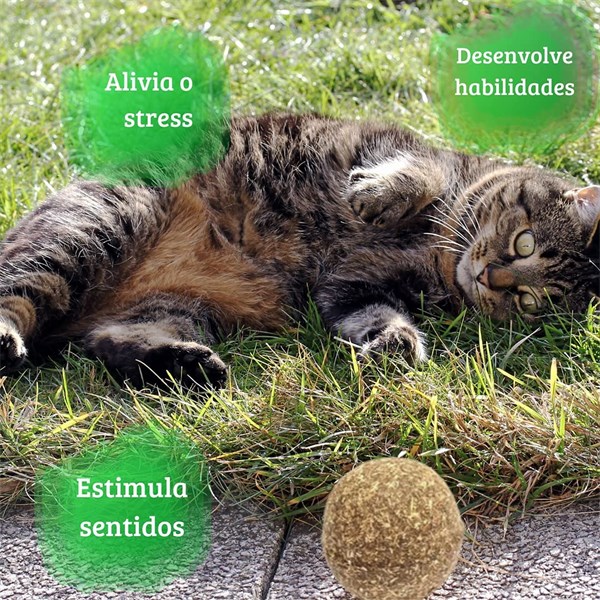 Bolinha De Catnip Para Gatos Erva Natural Cat Nip Ecolog