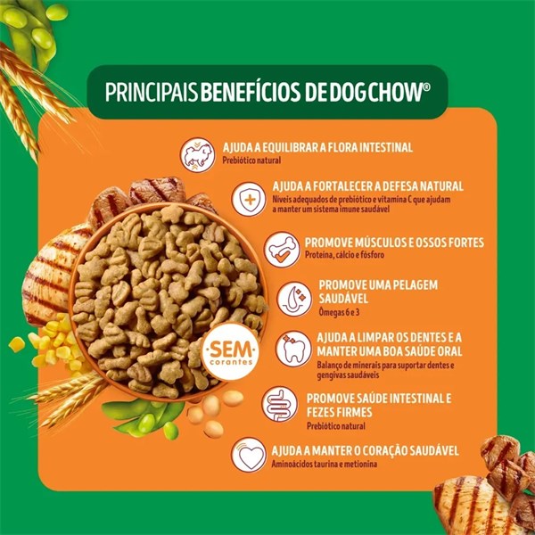 Ração Dog Chow Mines e Pequenos Carne, Frango e Arroz 15kg