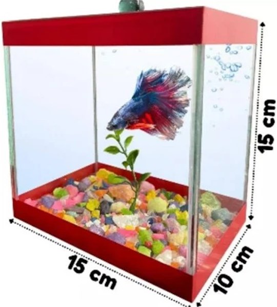 Beteira Decorada 15X10X15 cm