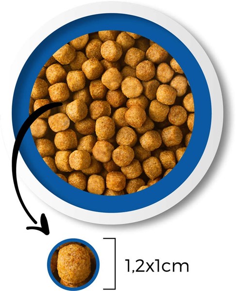 Ração Besser Natural Premium para Cães Adultos 15kg