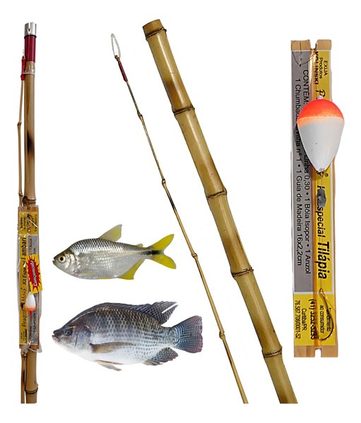 Vara Pronta Lambari 2 Partes para Pesca