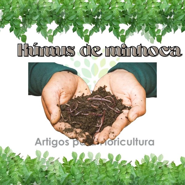 Húmus de Minhoca 5kg