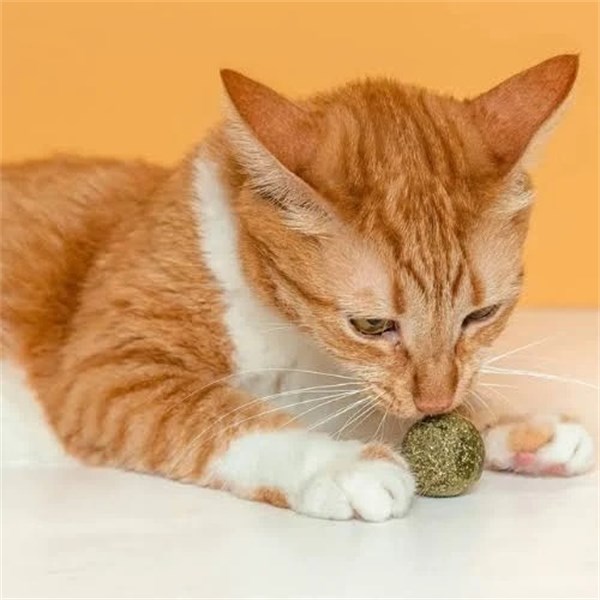 Brinquedo Bolinhas de Cat Nip Gatex para Gatos 5 unidades