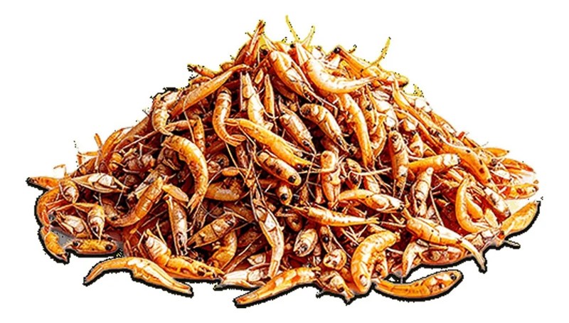 Ração para Tartaruga Poytara Gammarus Natural Line 11g
