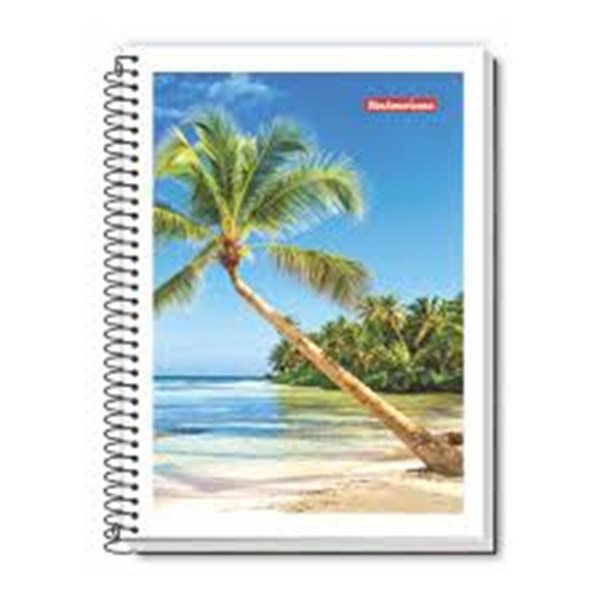 CADERNO JAND ESP FLEX PQ 48F BRASIL UN