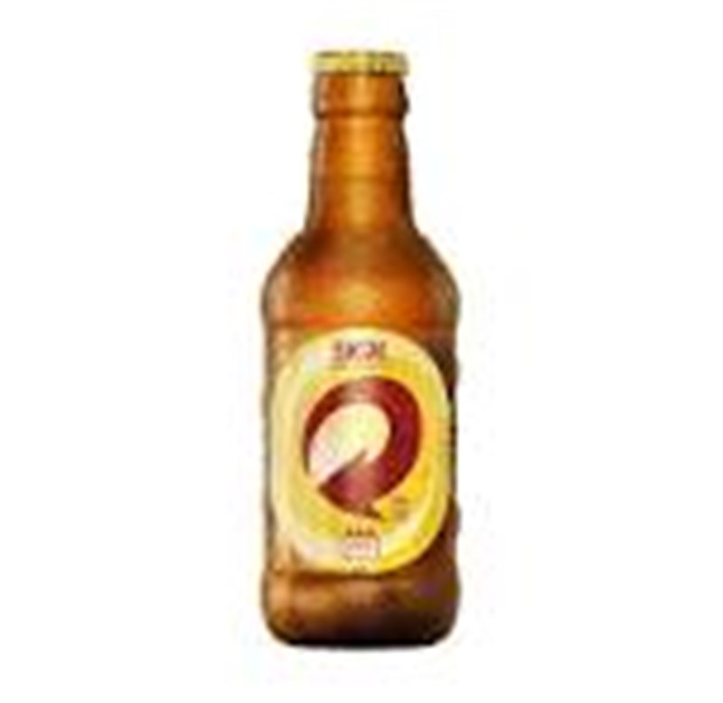 SKOL ONE WAY 300ML
