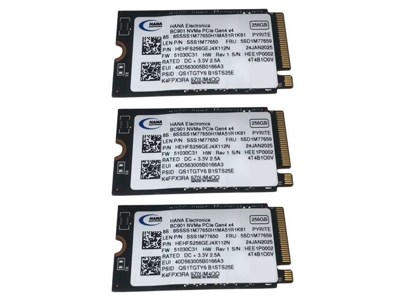 SSD NVME, 256GB, HANA, FORMATO 2242, OEM