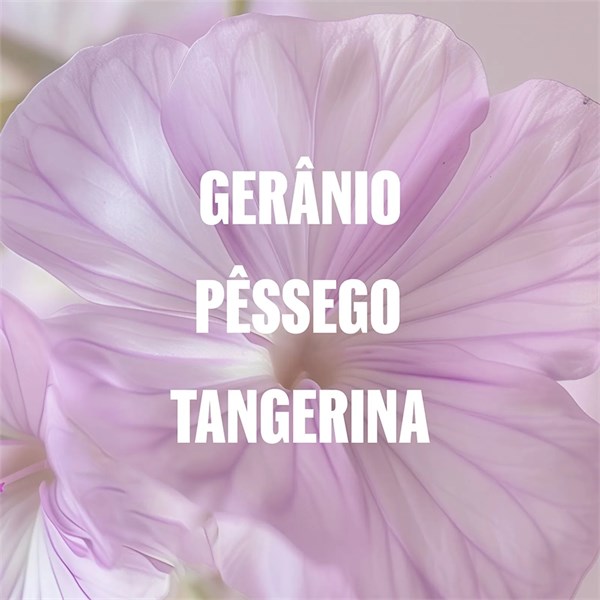 WP ELEMENTS MASCARA 500ML