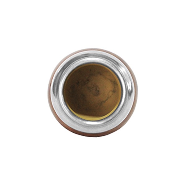 Cuia Chimarrão Porongo Torpedo Liso Bocal Inox Pé Metal