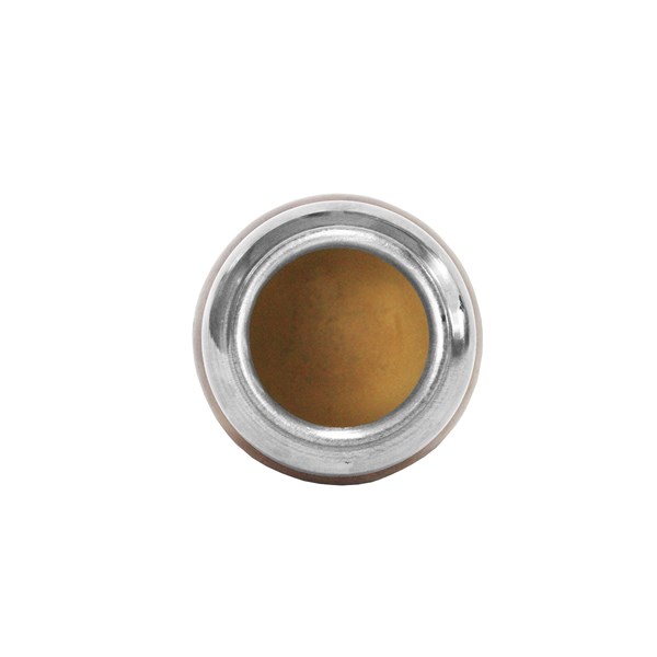 Cuia Chimarrão Porongo Torpedo Liso Bocal Inox Pé Metal