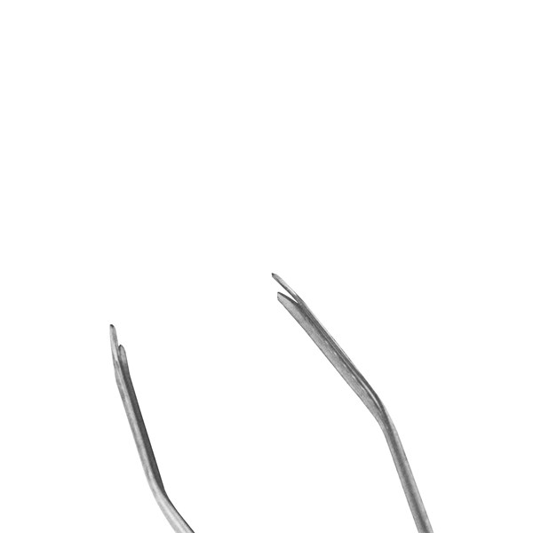 Pegador Inox Churrasco 50cm