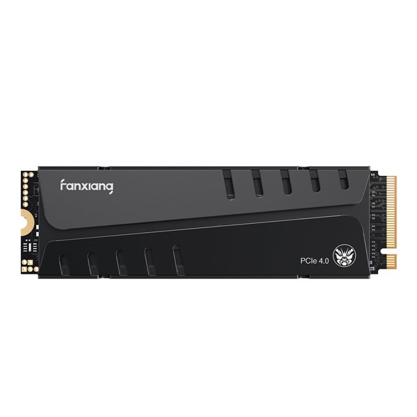 NVME M.2 - 1000 GB FANXIANG S770, GEN 4X4 7400 MB/S E 6500 MB/S cópia
