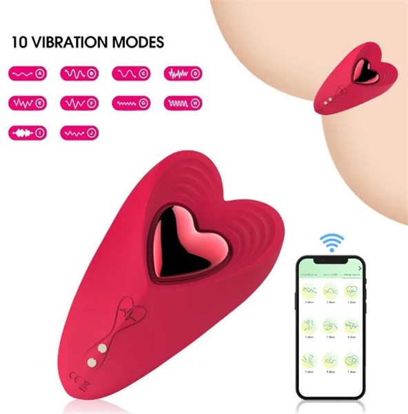 VIBRADOR DE CALCINHA - RECARREGAVEL - LOVED - APP/BLUET