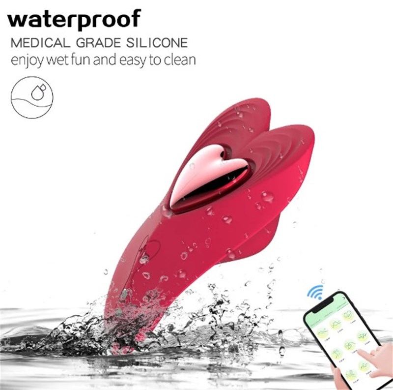 VIBRADOR DE CALCINHA - RECARREGAVEL - LOVED - APP/BLUET