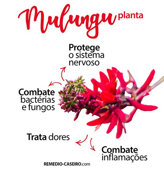 MULUNGU 30G CHA NATUREBA
