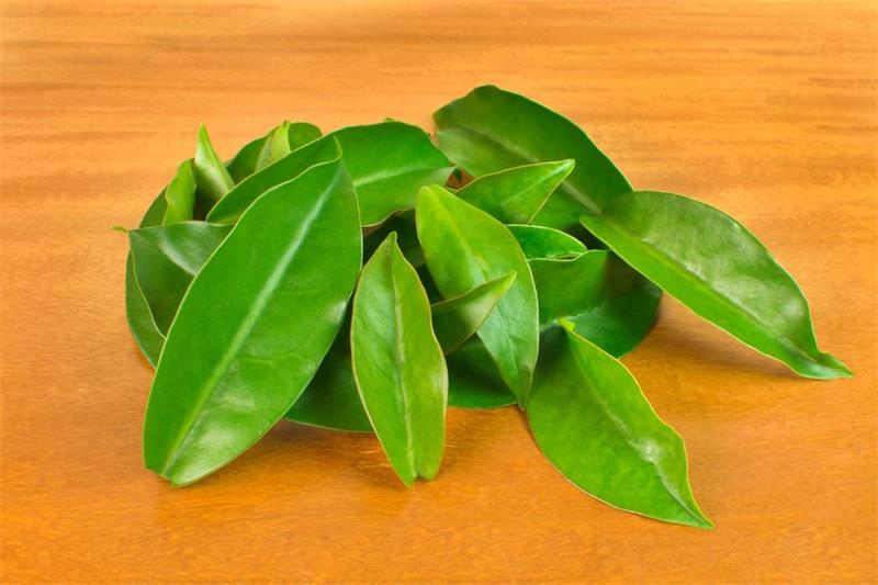 ORA PRO NOBIS 30G CHA NATUREBA